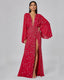Priya Embroidered Gown - holiCHIC